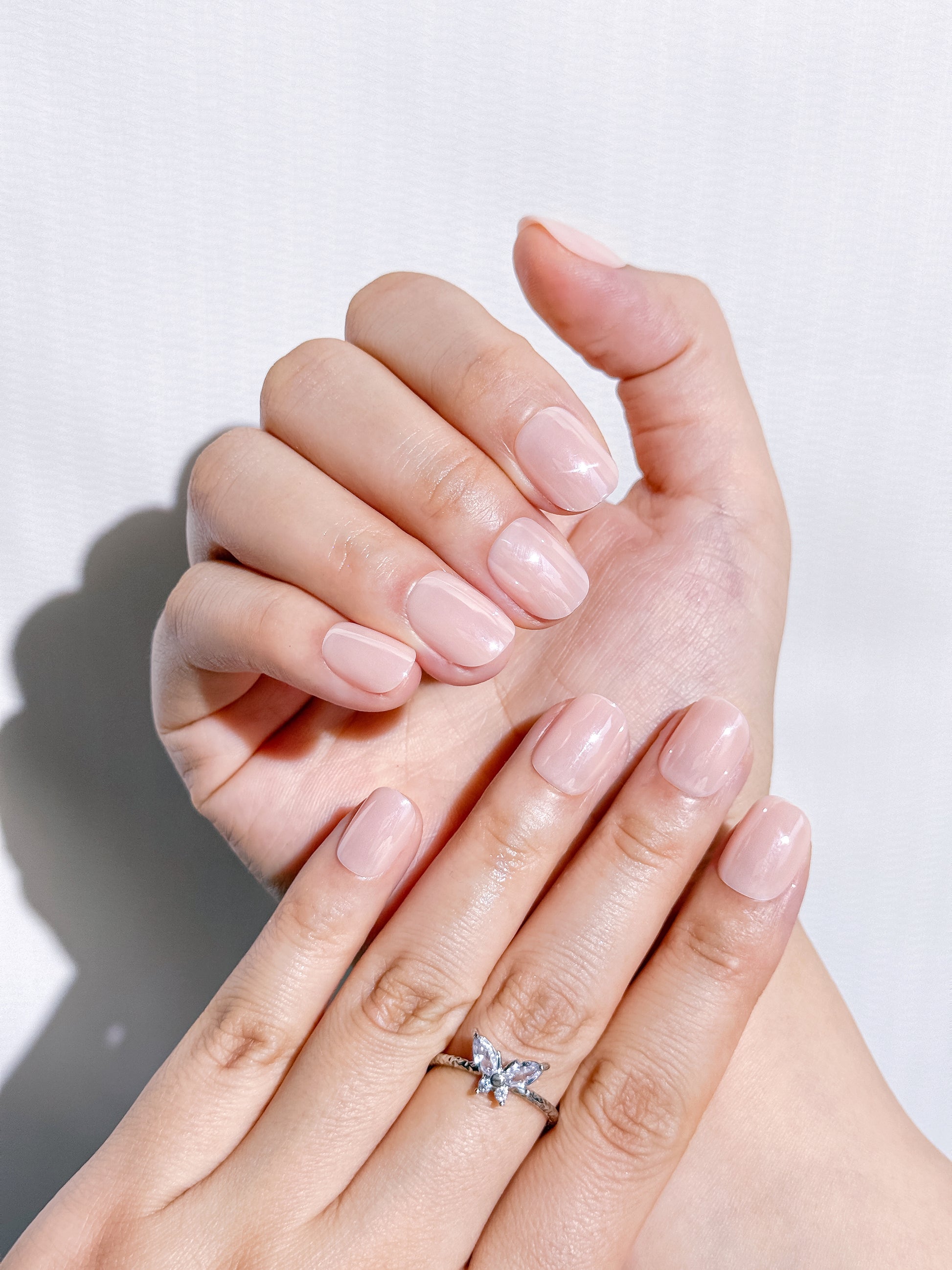 Blushbare Press-On Nägel – Glänzendes Nude Design