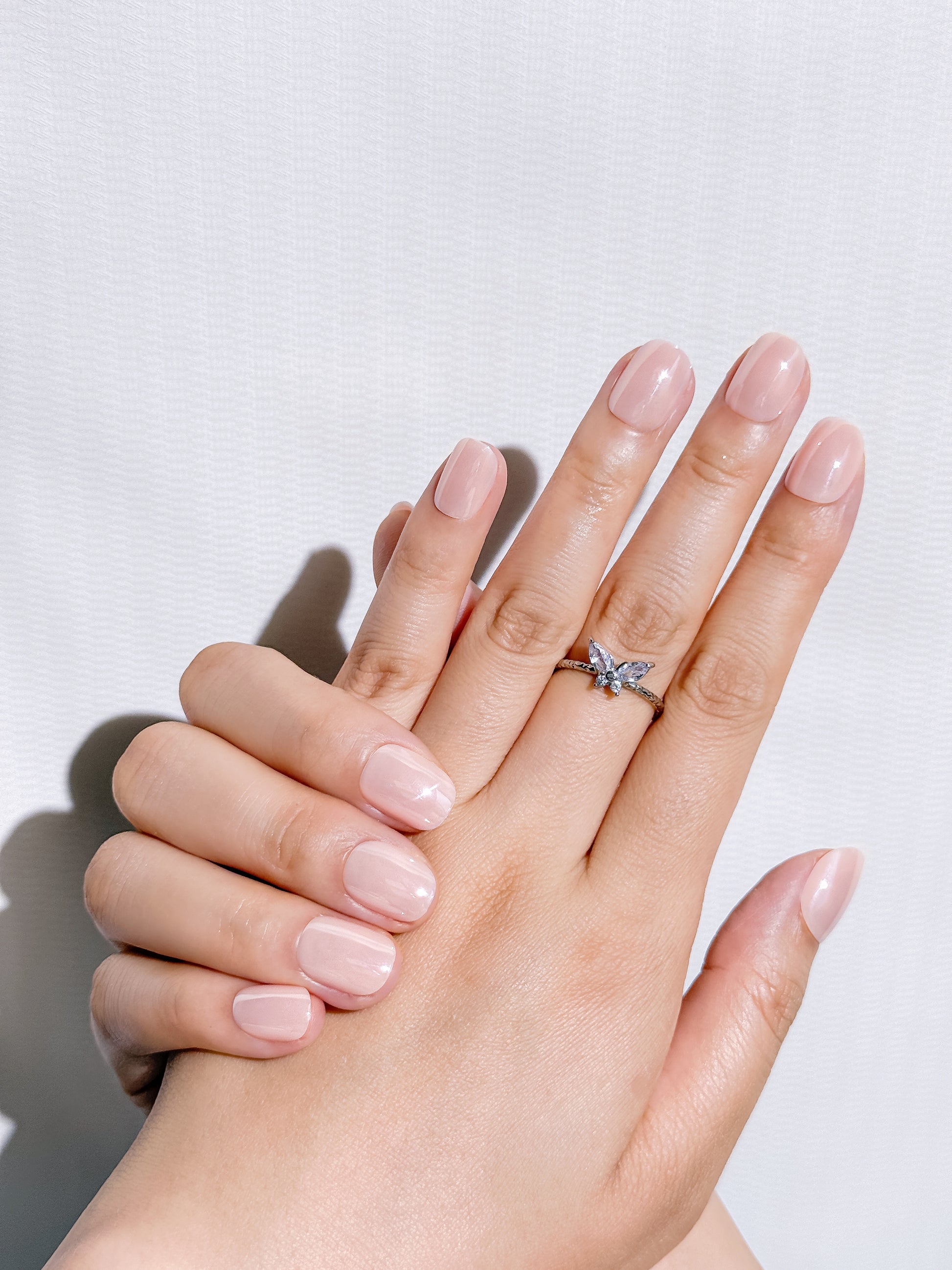 Blushbare Press-On Nägel – Glänzendes Nude Design