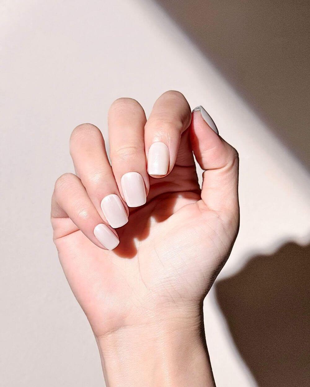A hand wearing milk white short press on nails in square shape with warm natural light